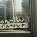 Stick-On Window Moisture Absorbers, 4 Pack